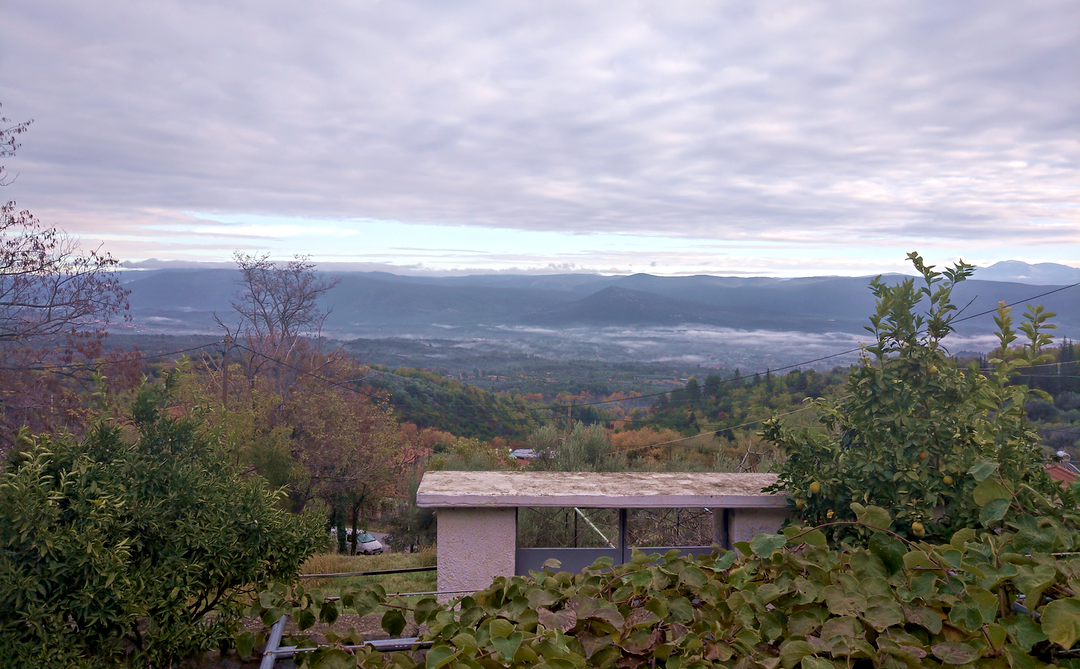 Expanded SPACES residency