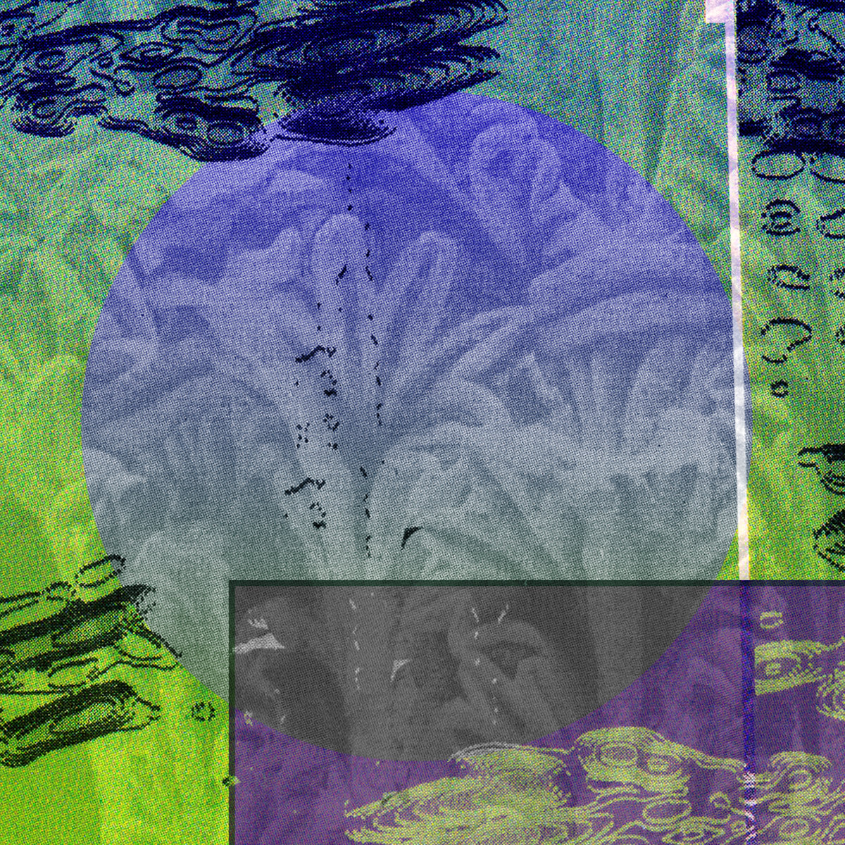 Thyme Lines / Le Cantique des Oiseaux