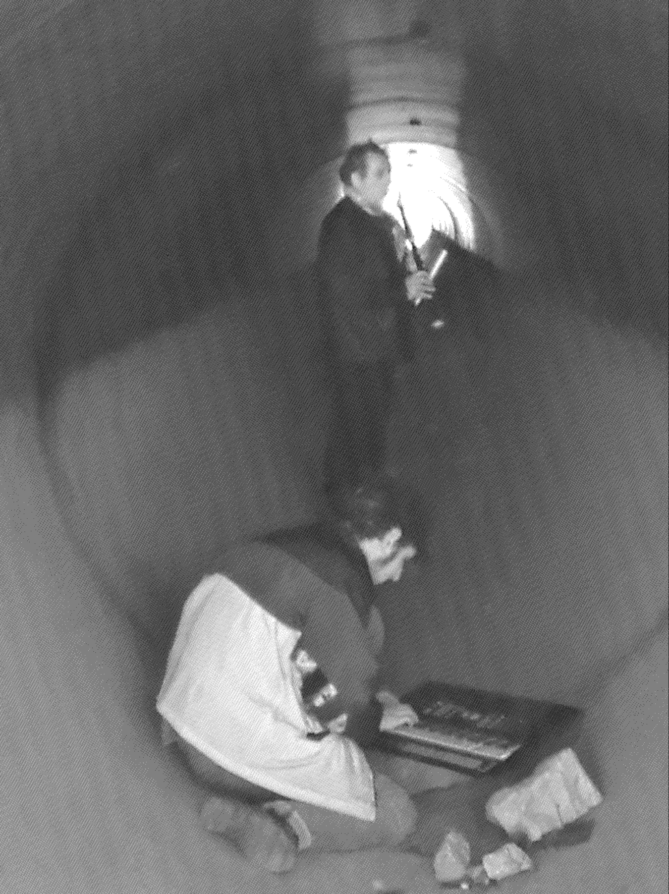 Thyme Lines / Le Cantique des Oiseaux