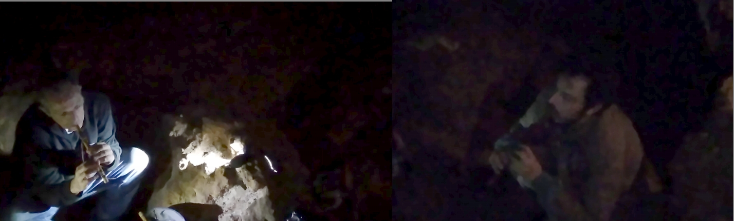 Thyme Lines / Le Cantique des Oiseaux